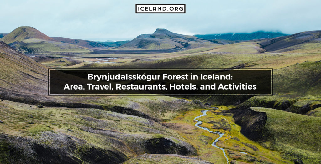 Brynjudalsskógur Forest in Iceland